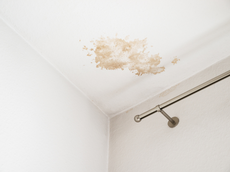 Crestview Property Management Guide: Normal Wear and Tear vs Tenant Damage